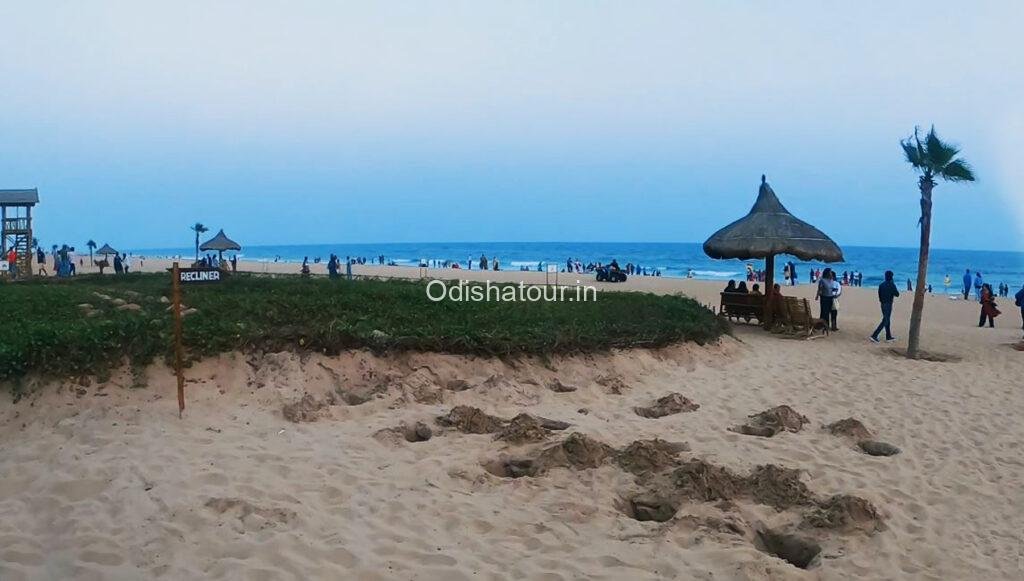 Blue Flag Sea Beach, Golden Beach, Puri Odisha Tour
