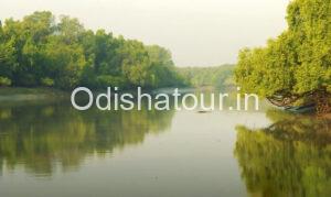Read more about the article Bhitarkanika National Park, Kendrapara