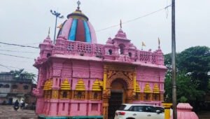 Read more about the article Gundicha & Nursinghanath Temple, Subarnapur