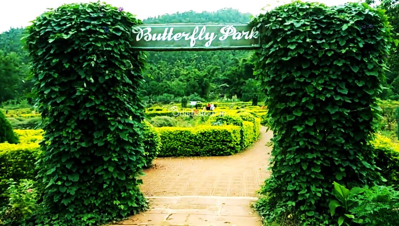 Butterfly Park, Nature Park, Daringbadi, Kandhamal
