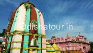 Read more about the article Gundicha & Nursinghanath Temple, Subarnapur