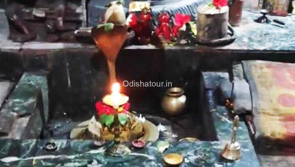 Pataleshwar Shiva Temple, Paikapada, Rayagada Odisha Tour