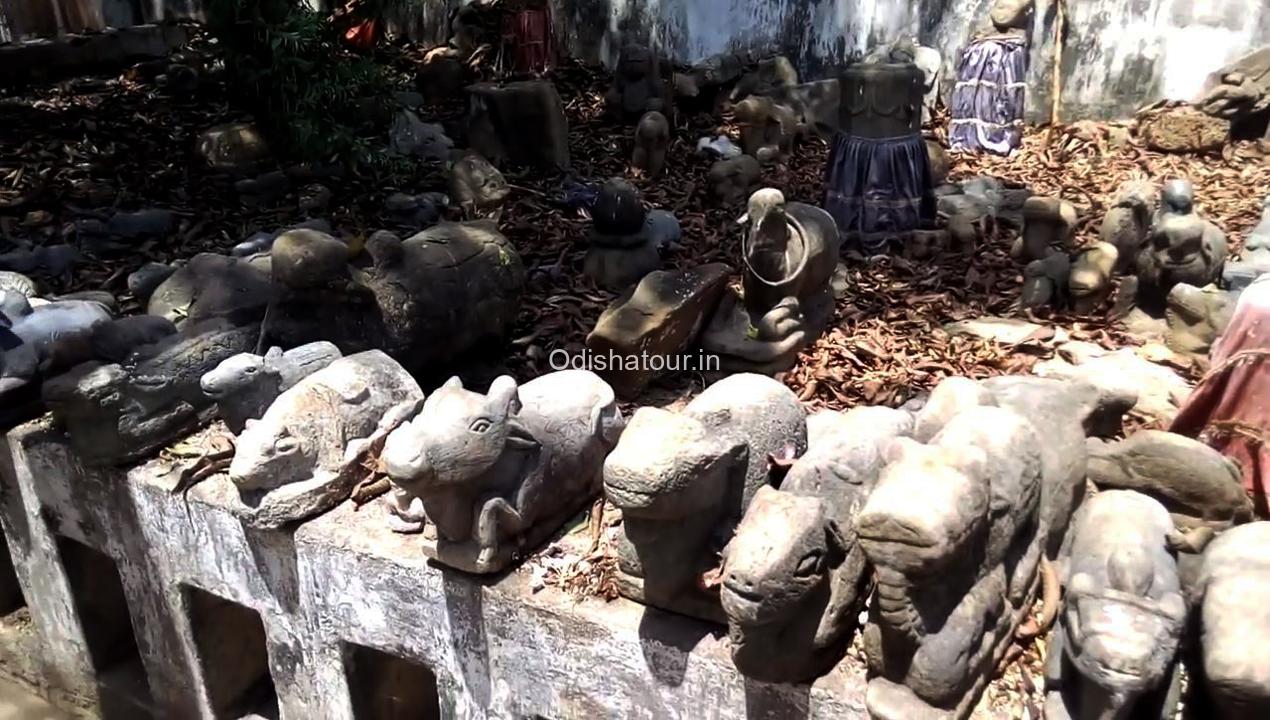 kapileswar temple,binka, Charda shiv temple, Subarnapur2