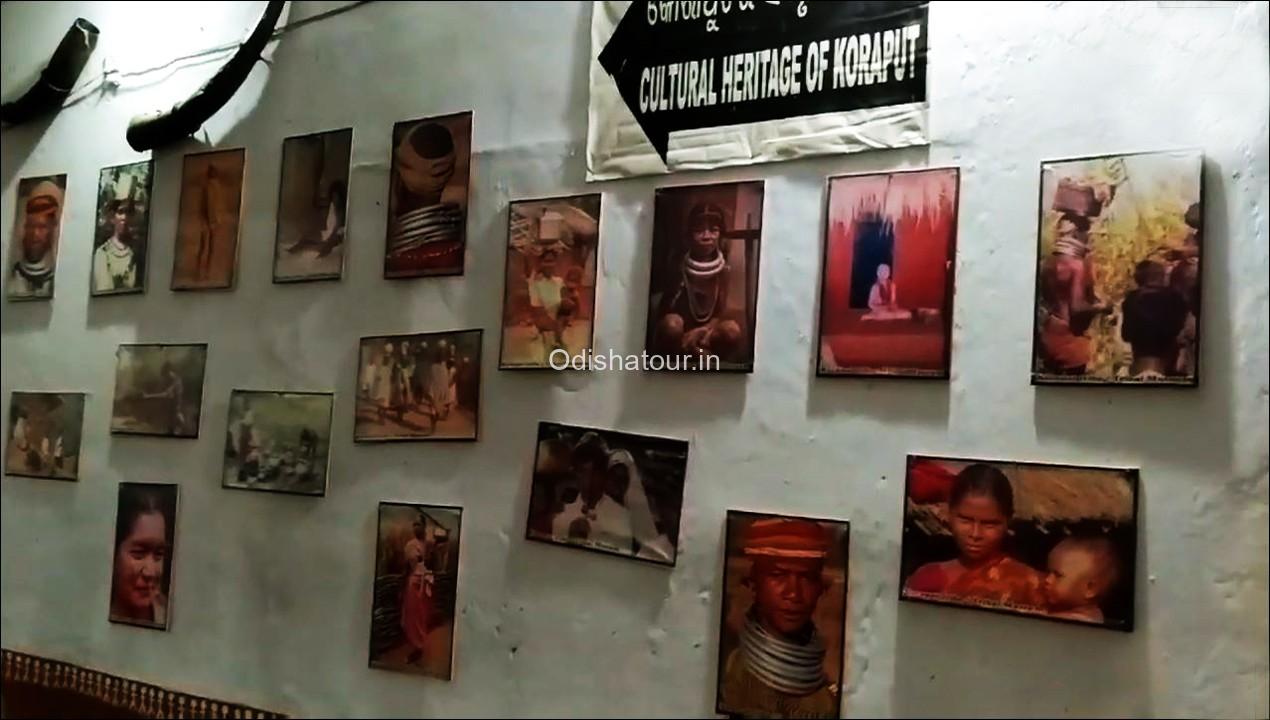 best tribal museum in odisha