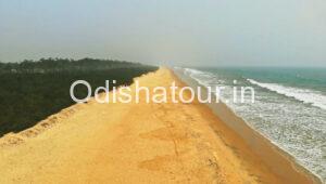 Read more about the article Siali Sea Beach, Jagatsinghpur
