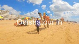 Blue Flag Sea Beach, Golden Beach, Puri | Odisha Tour