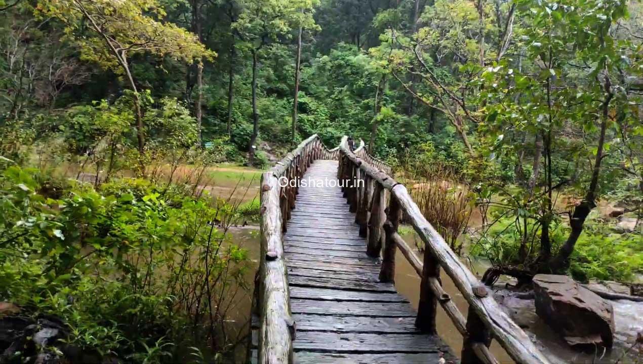 gudguda-waterfall-wood-bridge