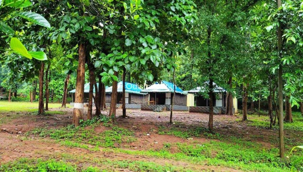 Berbera Nature Camp, Banpur, Khordha