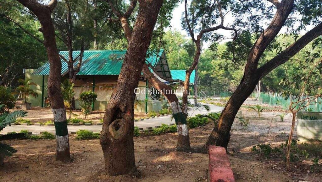 Nuanai Nature Camp & Sea Beach, Balukhand, Puri