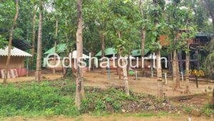 Read more about the article Giant Squirrel Nature Camp, Kaliamba, Ganjam