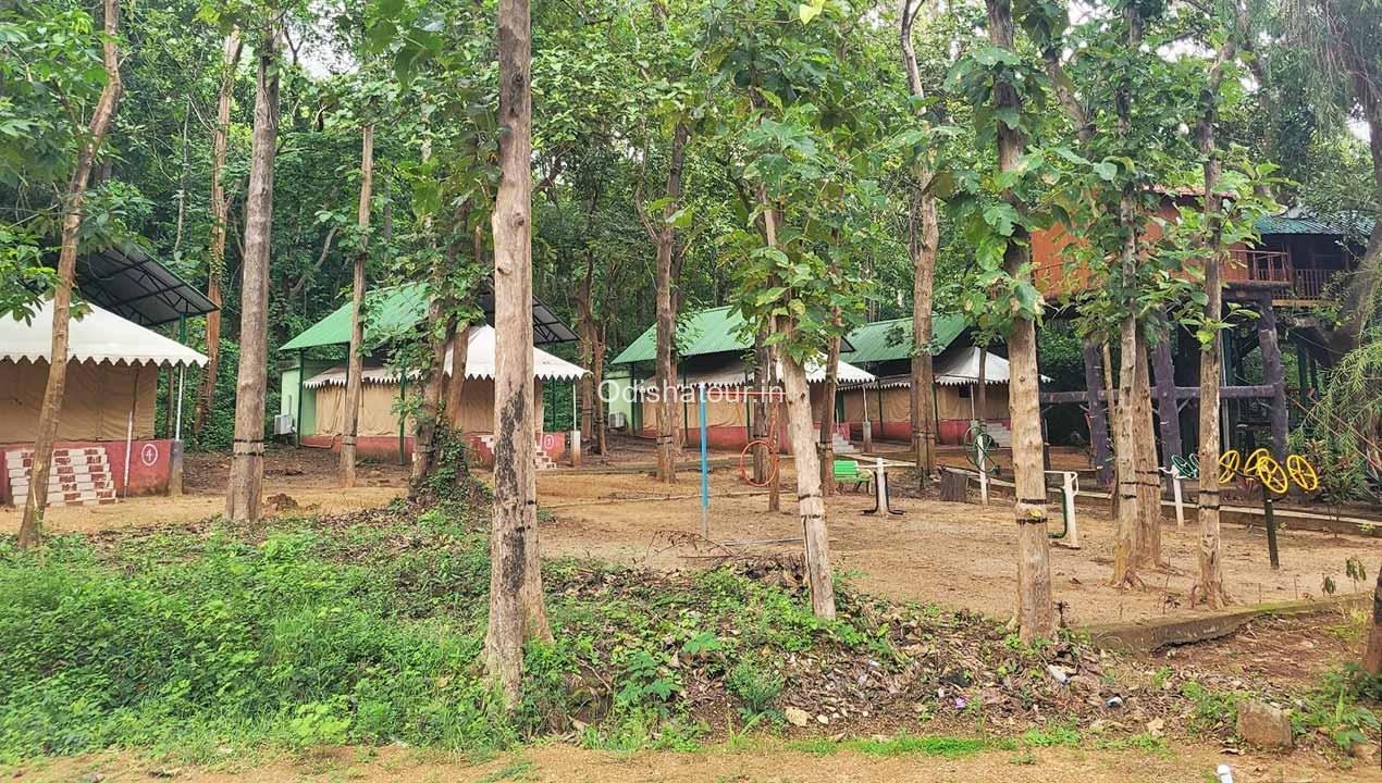 Read more about the article Giant Squirrel Nature Camp, Kaliamba, Ganjam