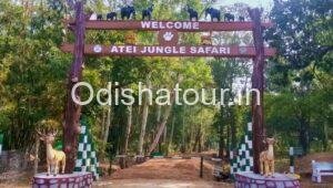 Read more about the article Atei Jungle Safari, Ghatgaon, Keonjhar