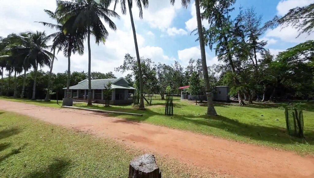 Dangamal Nature Camp, Bhitarkanika, Kendrapara