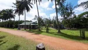 Read more about the article Dangamal Nature Camp, Bhitarkanika, Kendrapara