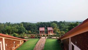 Read more about the article Mangalajodi Nature Camp, Chilika Lake, Khordha