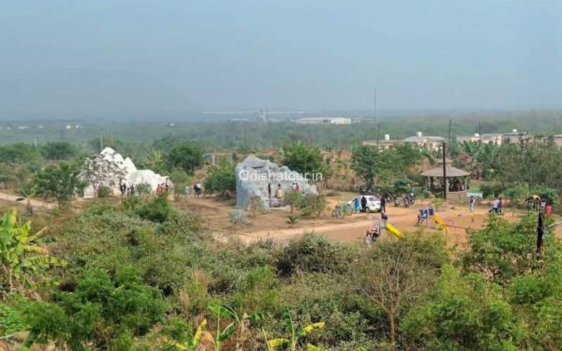 Mahatma Gandhi Medicine Plant dhenkanal