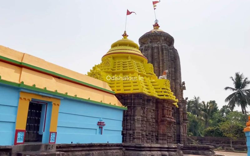 Niali Madhava Temple Cuttack